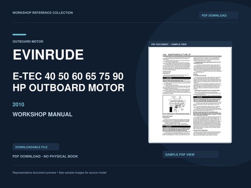 Motore fuoribordo evinrude - fuoribordo,